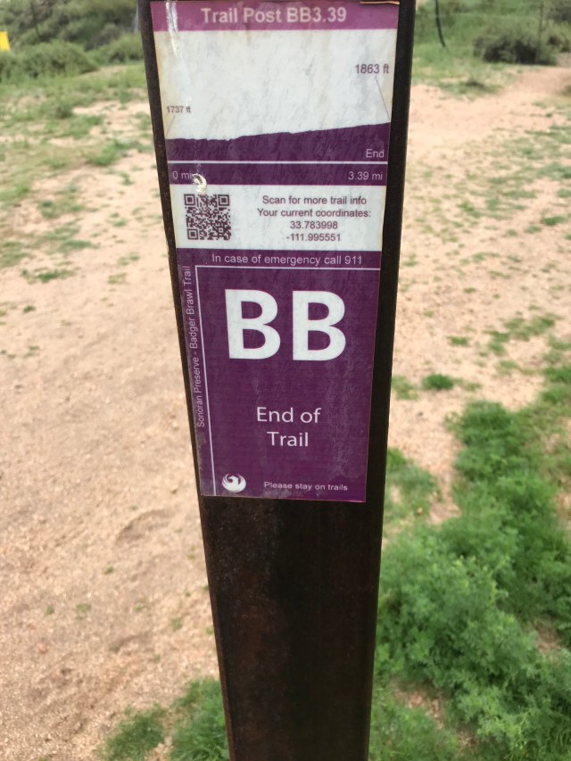 XikN7xF2S6iZrd+RPjdfrw