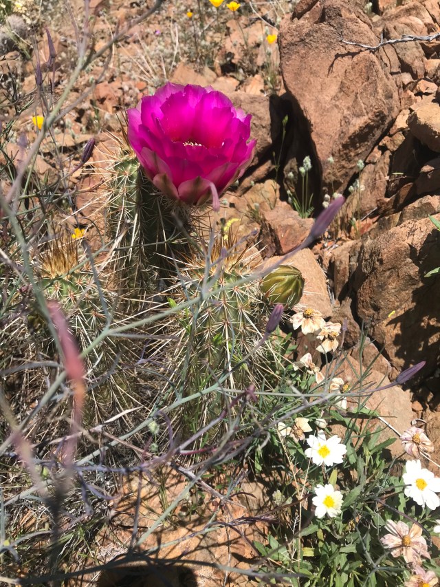 dw7CAwXDToii9KA7kXuwVg